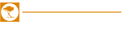 Ténéré Spirit Experience